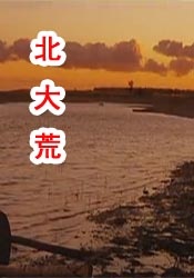 91九色中文视频porny