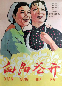 b图片